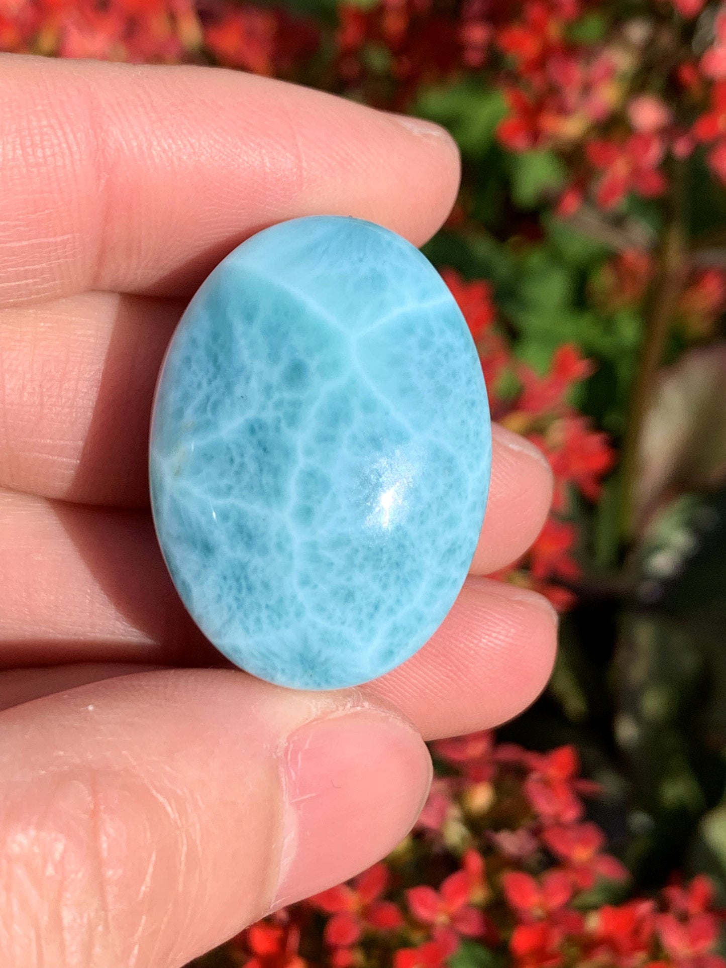 AAA Natural Authentic Dominican Larimar Pendants, Larimar Jewelry,Crystal Pendant,Gems Jewelry,Larimar Jewelry,ET243