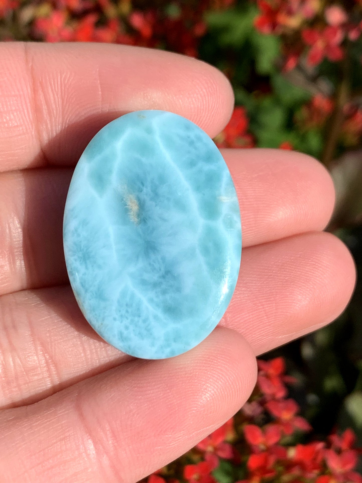 AAA Natural Authentic Dominican Larimar Pendants, Larimar Jewelry,Crystal Pendant,Gems Jewelry,Larimar Jewelry,ET243